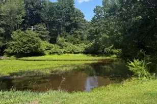 2402 Route 390, Canadensis, PA 18325 - Photo 2