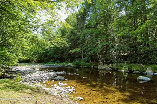 4581 Route 447, Canadensis, PA 18325 - Photo 92