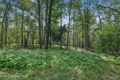  19 Conservancy Court, Covington Township, PA 18424 - Photo 40