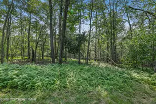 19 Conservancy Ct, Covington Township, PA 18424 - Photo 40