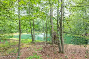 25 Snow Shoe, Lake Harmony, PA 18624 - Photo 6