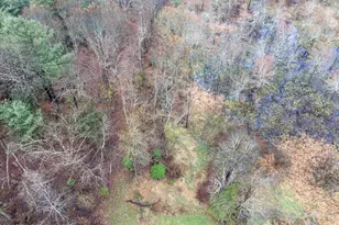 119 Springbrook Rd, Shohola, PA 18458 - Photo 60