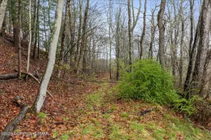 119 Springbrook Rd, Shohola, PA 18458 - Photo 46