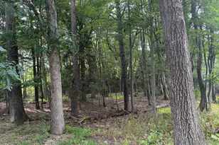 123 Stillwater Dr, Pocono Summit, PA 18346 - Photo 16