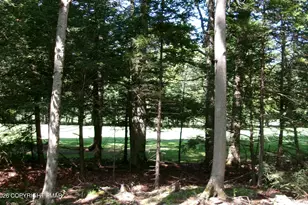 1231 Kilmer Rd, Tobyhanna, PA 18466 - Photo 36