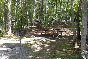 1231 Kilmer Rd, Tobyhanna, PA 18466 - Photo 80