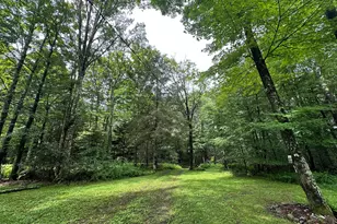 1201 Railroad Ave, Gouldsboro, PA 18424 - Photo 28