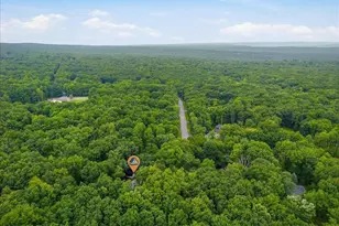 2569 Birch Hollow Dr, Effort, PA 18330 - Photo 12