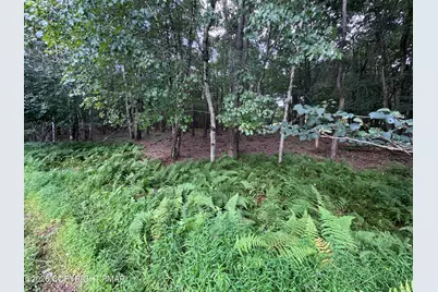  Ev484 Masters Trail, Albrightsville, PA 18210 - Photo 2
