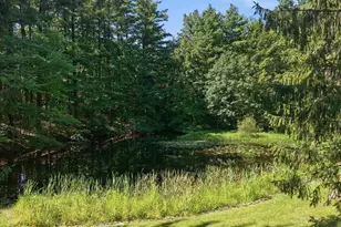 1408 Fox Gap Rd, Bangor, PA 18013 - Photo 36
