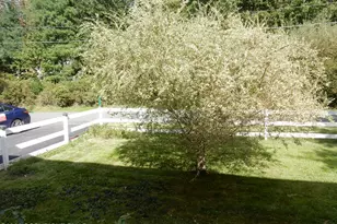 2319 Vacation Ln, Pocono Summit, PA 18346 - Photo 4