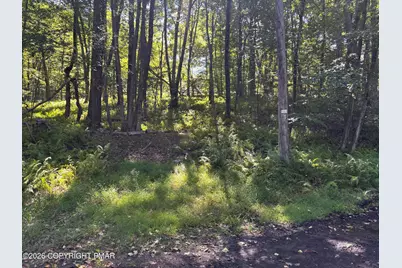  Ski Trail 32, Pocono Lake, PA 18347 - Photo 2