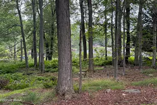136 Birch Ledge Rd, Canadensis, PA 18325 - Photo 46