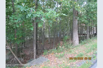  Regent Street, Bushkill, PA 18324 - Photo 4