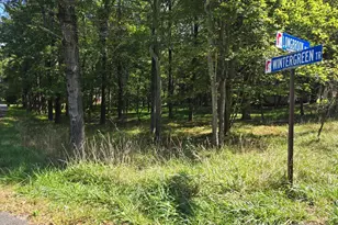 Wintergreen Trail & Longbrook, Albrightsville, PA 18210 - Photo 1