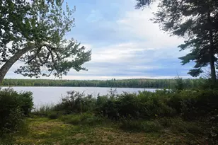843 Crest Pines Ln, Long Pond, PA 18334 - Photo 46