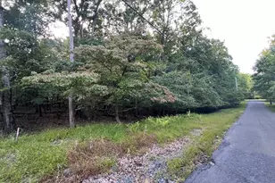 White Dove Dr 48, East Stroudsburg, PA 18302 - Photo 1