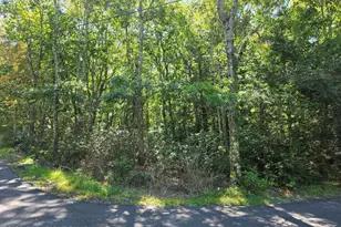 Lot L135 Penn Spring Dr, Jim Thorpe, PA 18229 - Photo 1