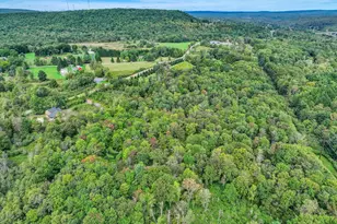 137 Conti Ln, White Haven, PA 18661 - Photo 64