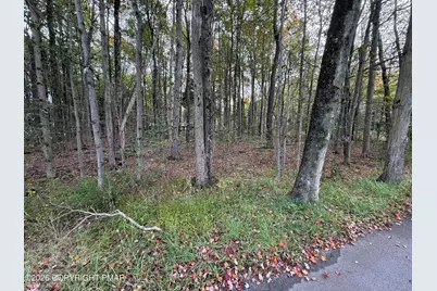  1168 Gross Drive, Pocono Pines, PA 18350 - Photo 4