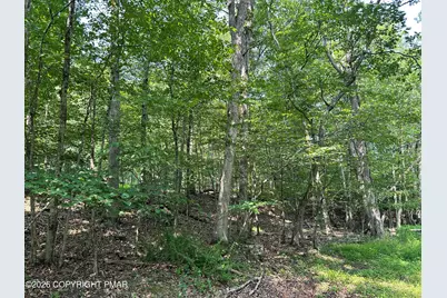  Private Dr 1C, Henryville, PA 18332 - Photo 6