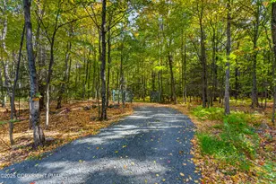 163B Hilltop Rd, Newfoundland, PA 18445 - Photo 60