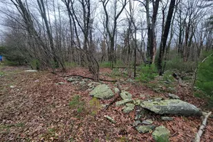 Pa-739, Dingmans Ferry, PA 18328 - Photo 1