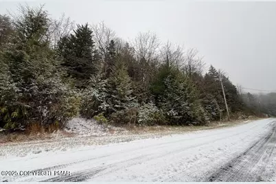  Lot 102 Minsi Trail, Long Pond, PA 18334 - Photo 1