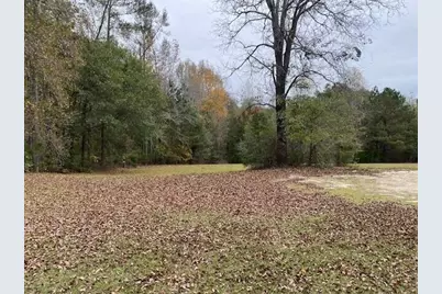 6384 Cobbham Road, Appling, GA 30802 - Photo 1