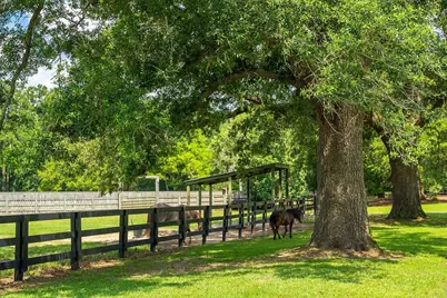 1792 Appleton Road, Allendale, SC 29810 - Photo 4