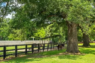 1792 Appleton Rd, Allendale, SC 29810 - Photo 4