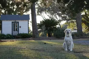 1792 Appleton Rd, Allendale, SC 29810 - Photo 48