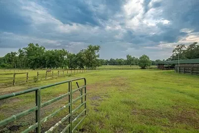 1792 Appleton Road, Allendale, SC 29810 - Photo 50