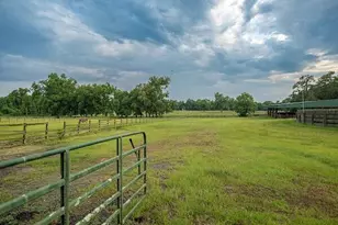 1792 Appleton Rd, Allendale, SC 29810 - Photo 50