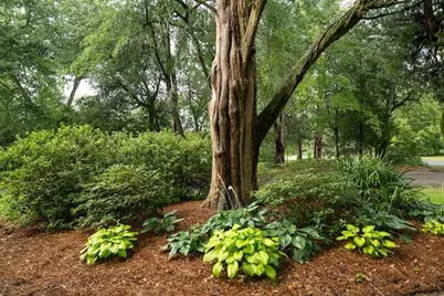 1792 Appleton Road, Allendale, SC 29810 - Photo 54