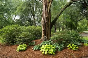 1792 Appleton Rd, Allendale, SC 29810 - Photo 54