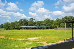 1792 Appleton Rd, Allendale, SC 29810 - Photo 58