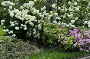 854 Sparkleberry, Evans, GA 30809 - Photo 4