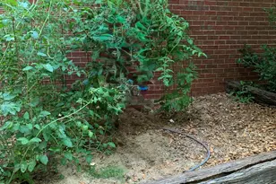 854 Sparkleberry, Evans, GA 30809 - Photo 56