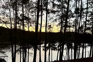 184 Savannah Dr Dr, McCormick, SC 29835 - Photo 72