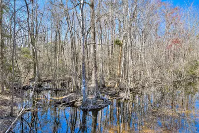 1114 Lott Bluff Road, Blackville, SC 29817 - Photo 68