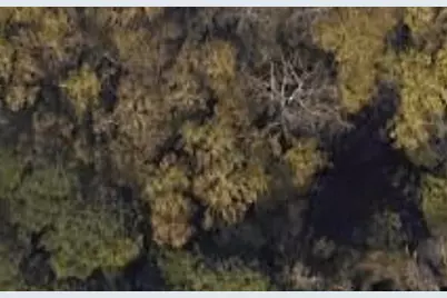 3927 Mack Road, Augusta, GA 30907 - Photo 1