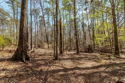 1025 Plantation Lane, Lincolnton, GA 30817 - Photo 66