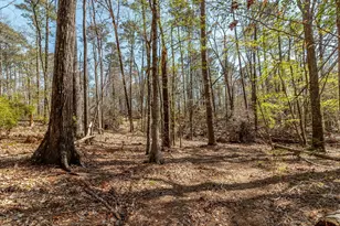 1025 Plantation Ln, Lincolnton, GA 30817 - Photo 66