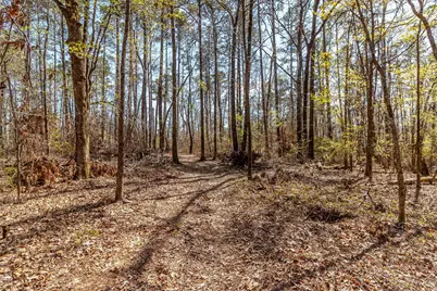 1025 Plantation Lane, Lincolnton, GA 30817 - Photo 58