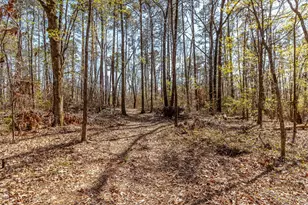 1025 Plantation Ln, Lincolnton, GA 30817 - Photo 58