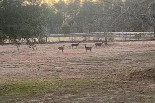 657 Tolt Trl, Aiken, SC 29801 - Photo 40