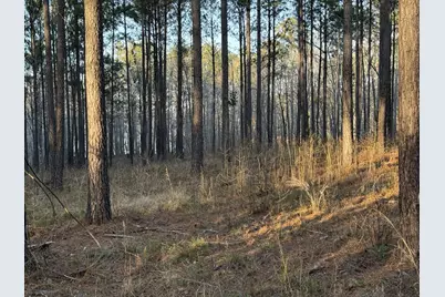 00 Lighthouse Point #12 C, Lincolnton, GA 30817 - Photo 4