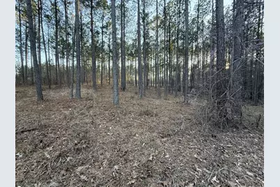 00 Lighthouse Point #12 C, Lincolnton, GA 30817 - Photo 6