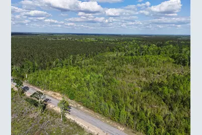 0 305 Highway, Midville, GA 30441 - Photo 4